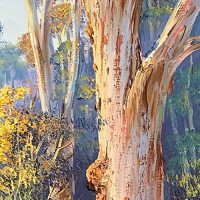 Painting The Australian Landscape - John Bradley Australian Artist