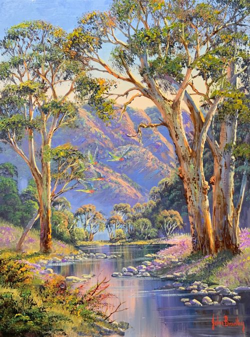 Morning in the Flinders original Jon Bradley